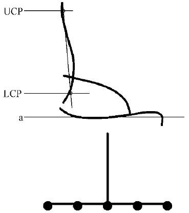 座椅相關(guān)專業(yè)術(shù)語(yǔ)和定義介紹